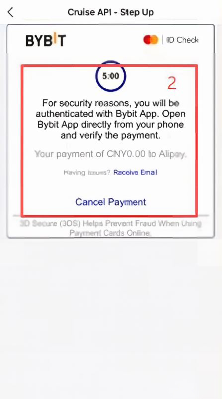 Bybit卡怎么绑支付宝?在大陆怎么消费?_图5