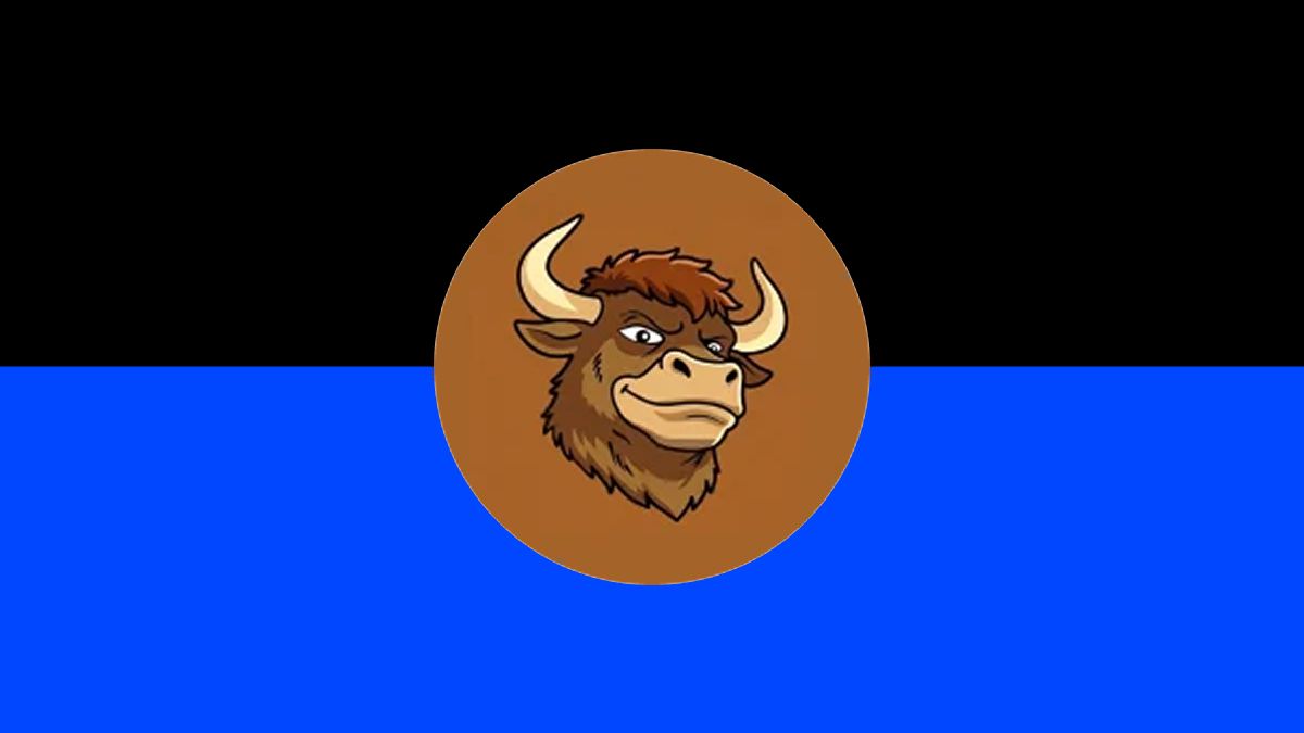 什么是Bull (BULLSOL)迷因币?特点、代币经济学介绍