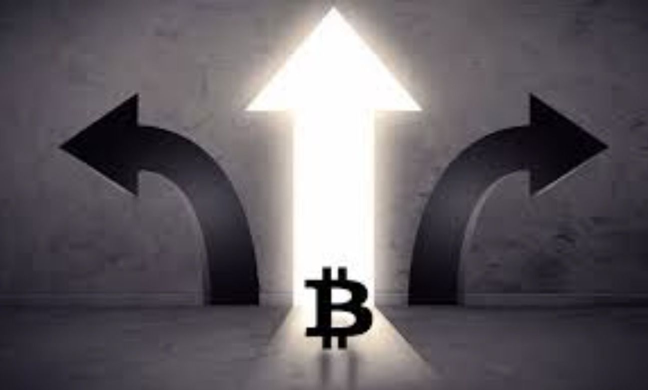 什么是加密货币中的分叉?硬分叉和软分叉有什么不同?