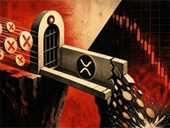TX生态XRP跨链桥陷虚假验证危机，资金遭窃引发市场震荡