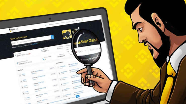 什么是BscScan？BNB Smart Chain(BSC)区块浏览器完整指南（2026）