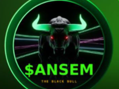 Solana模因币黑马ANSEM：暴涨背后的社区共享机制解析