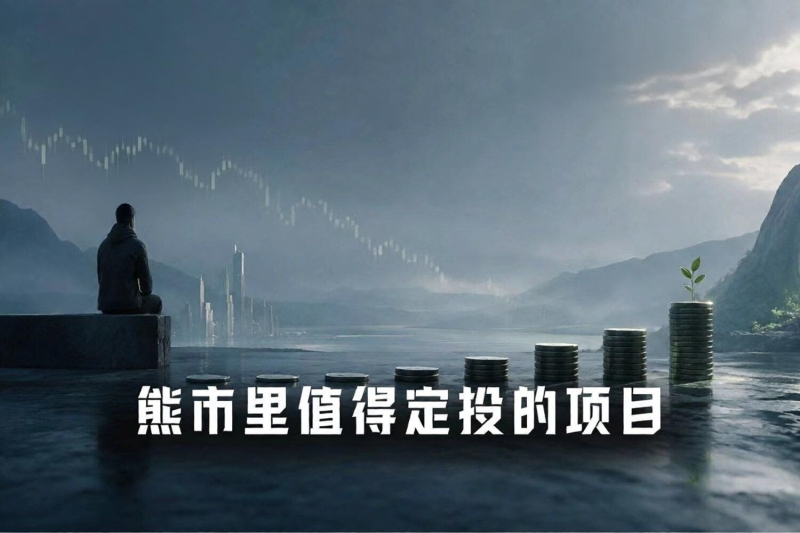 熊市不赌百倍币:哪些现金牛项目适合定投