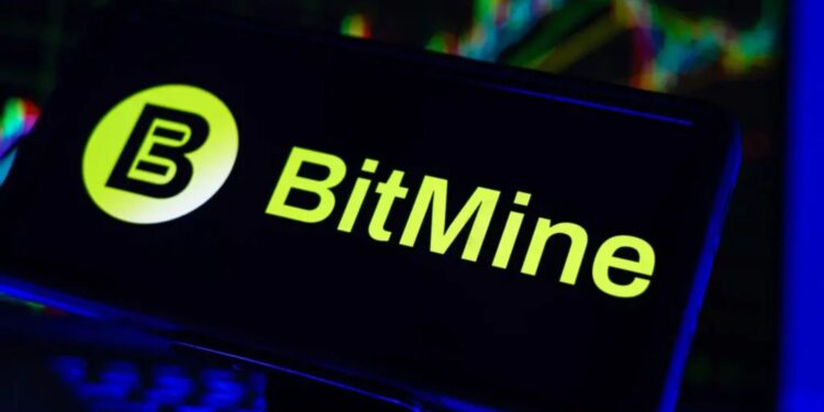 Bitmine（BMNR）：从对冲基金到资管巨头买入