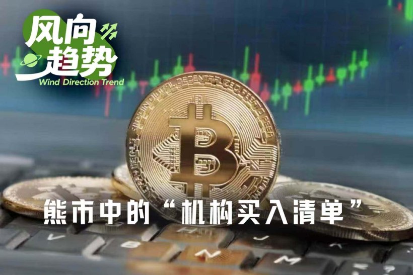 熊市下机构补仓加密概念股名单