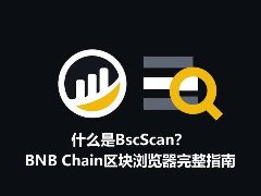 2026版BscScan完全指南：BNB链上数据查询与防骗实战