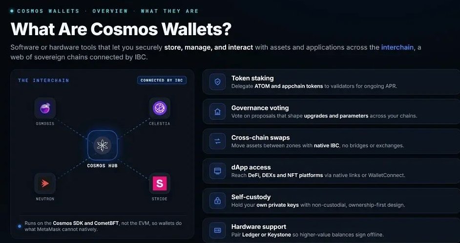 什么是 Cosmos 钱包
