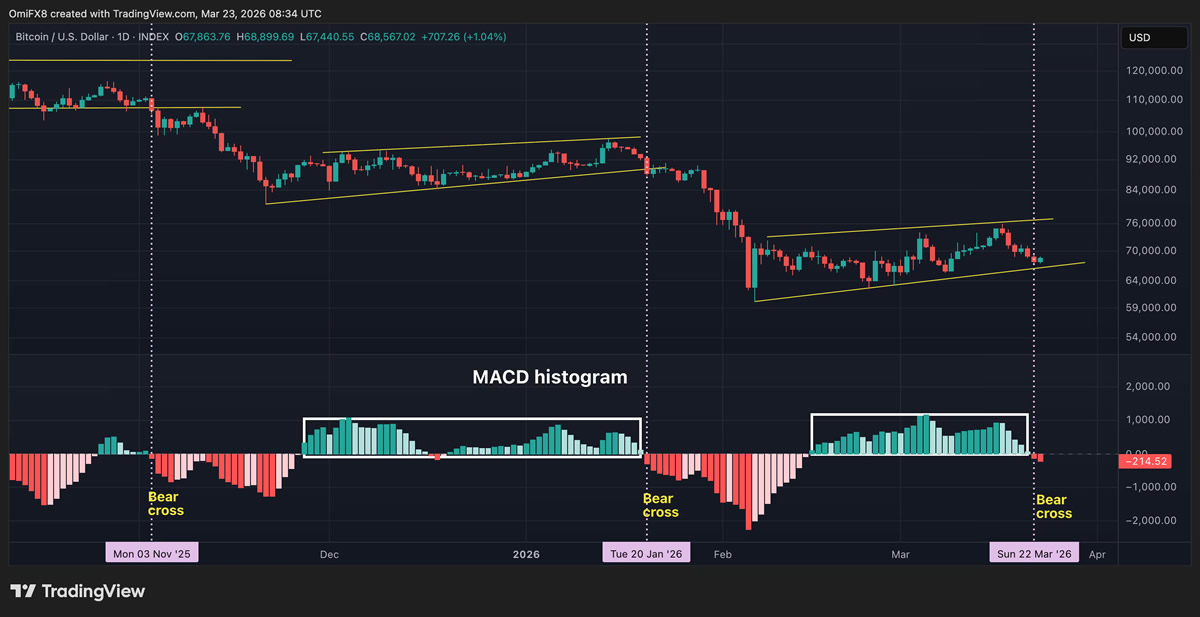 十大技术指标解读比特币:MACD、RSI、布林带、斐波那契