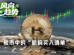 13F文件揭秘：加密寒冬中，万亿级机构正悄然加仓哪些龙头股？