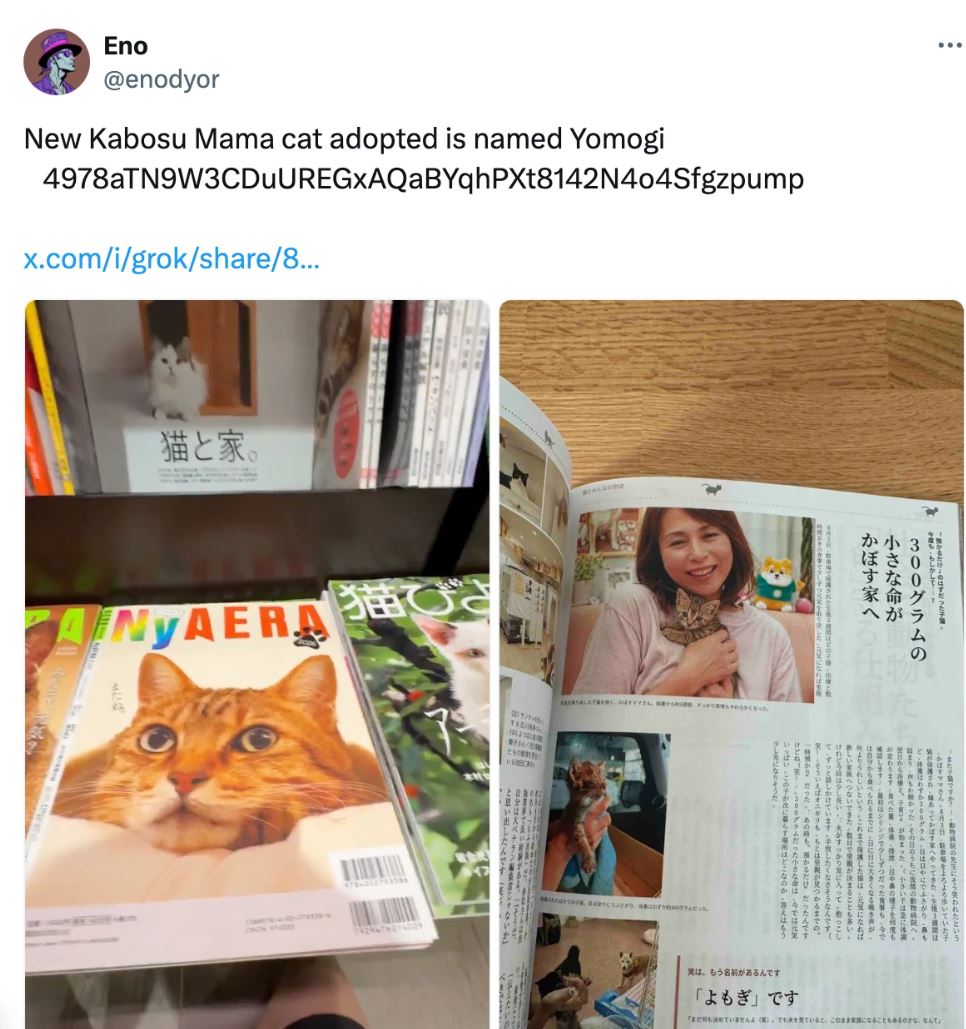 热门Meme币行情