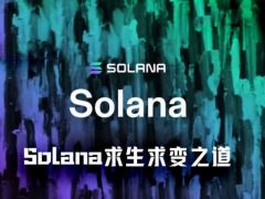 加密行业第17年：Solana如何突破瓶颈重塑竞争力？