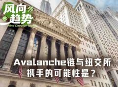 密测一整年，Avalanche有望成为ICE首选代币化链？