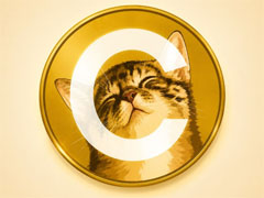 CATE引爆猫系Meme风潮，Solana赛道热度能否持续？