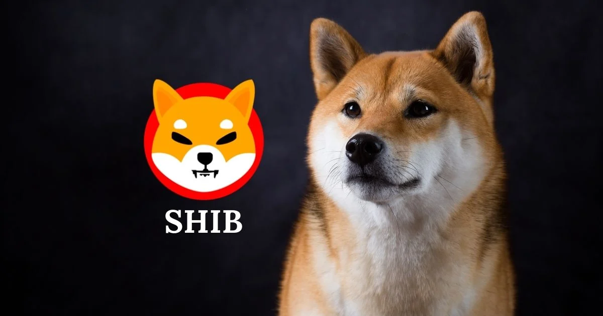 SHIB虚假空投实为盗币骗局，项目方提醒不要点击陌生链接
